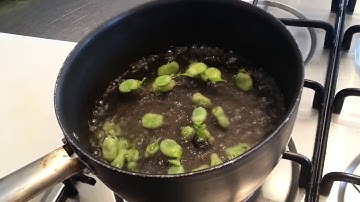 How to cook broad beans - the short version.