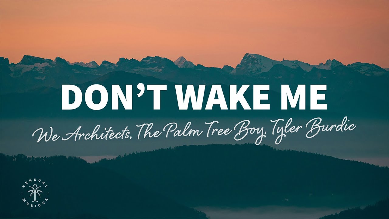 We Architects, The Palm Tree Boy, Tyler Burdic - Don't Wake Me (Lyrics)