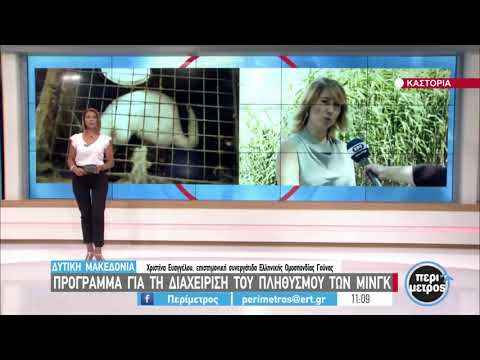 Δυτική Μακεδονία: Πρόγραμμα για τον εντοπισμό μινκ (video)