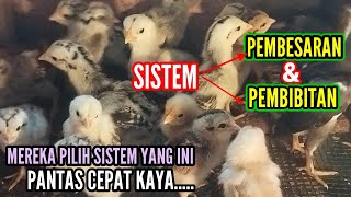 BENAR KATA TETANGGA  !! PAKAI SISTEM TERNAK SEPERTI INI JAUH LEBIH MENGUNTUNGKAN