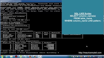 Structured Query Language Tutorial SQL Part 16   LIKE Operator Command Prompt   Console