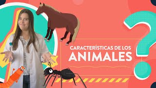 Características de los animales