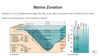 Marine Fish Ecology