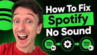 Cara Mengatasi Spotify Tidak Ada Suara screenshot 5