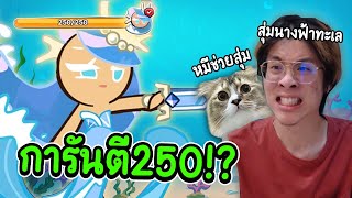 เกาะดวงแมว !! ใจร้าวสุ่มหา นางฟ้าทะเล ครั้งสุดท้าย !! - Cookie Run: Kingdom