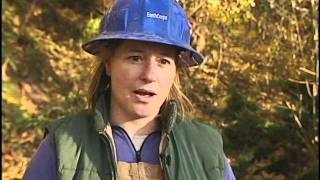 Famous EarthCorps Work Crew Net Worth