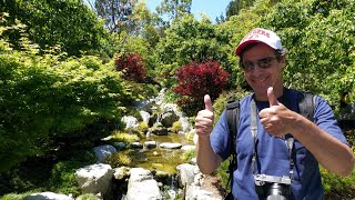 JAPANESE FRIENDSHIP GARDEN: BALBOA PARK, SAN DIEGO! (4K)