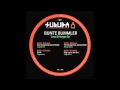 Bunte bummler  the hunger feat daniel wilde original mix surubax011