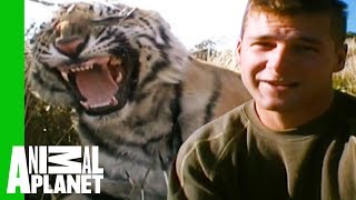 Tigers Make Their First Kill And Prepare For Life In Africa | Living With Tigers