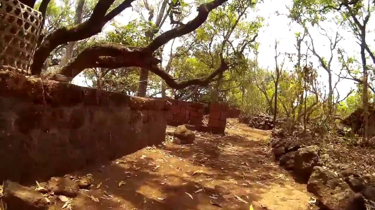 best action cam original sj4000 SJCAM india