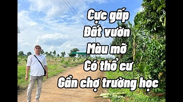 Khó khăn quá Chú Sáu bán đất vườn màu mỡ có thổ cư ở Láng Lớn Châu Đức BRVT