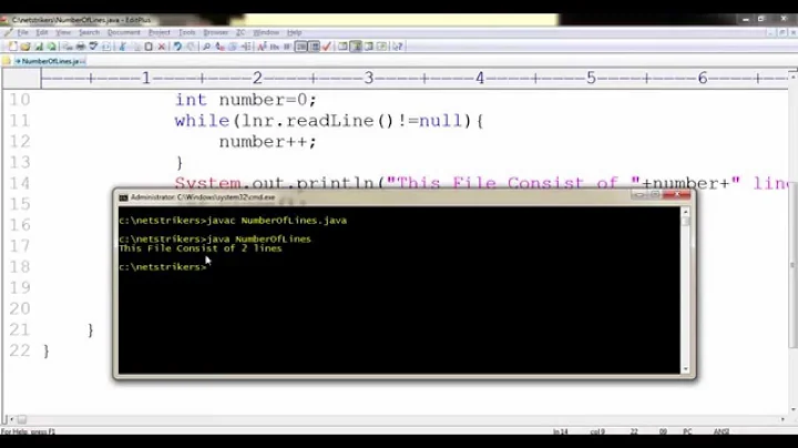 Java Programming Tutorial 40 - Calculate the Number of Lines in a File