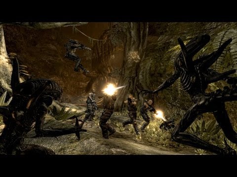 Aliens vs. Predator - Predator - Jungle 