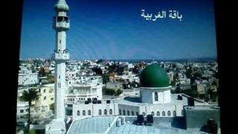 سورة القلم - طالب عويسات