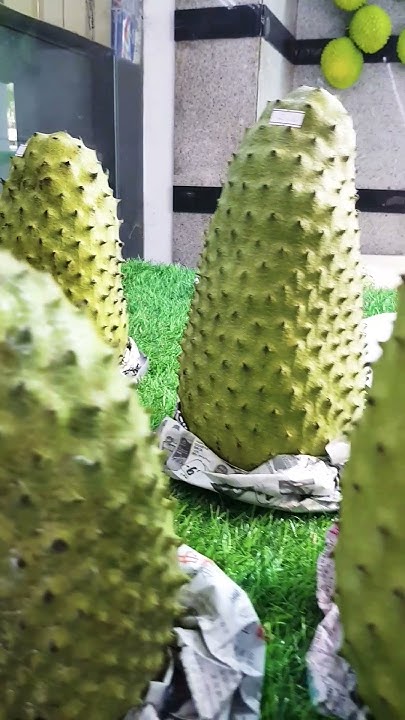 Expensive Soursop: Is It Worth The Price? - bmbyfcv