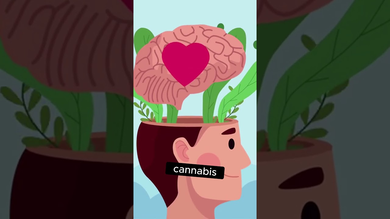 High-Dose LSD Beats Microdosing