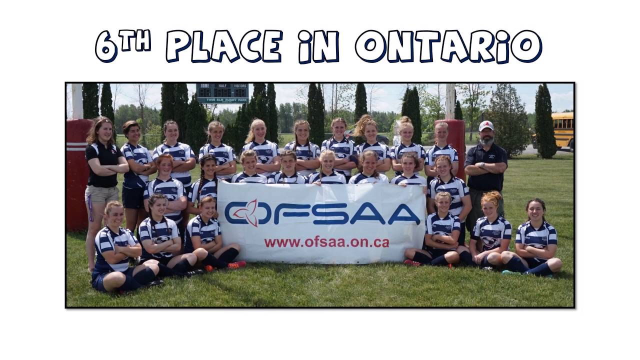 wpr 2016 year end update