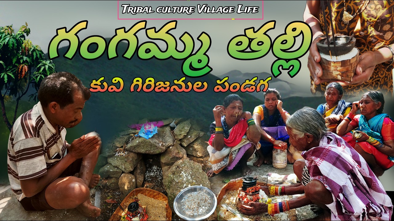 Kuvi Tribes Gangamma Thalli Festival | Tribal Celebration in Araku | AP Tribal Culture