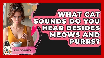 What Cat Sounds Do You Hear Besides Meows And Purrs? - Happy Cat Handbook