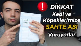 Kedilerimize Sahte Aşı Vuruyorlar  (SAHTE KARMA AŞI  SAHTE KARMA AŞI NASIL ANLAŞILIR?)