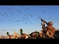 Once in a Lifetime Duck Hunt + BLONDE MALLARD