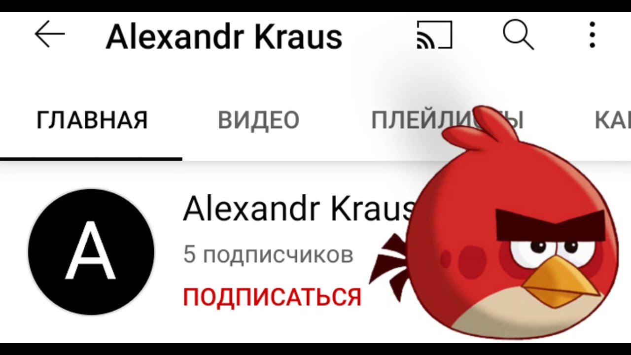 Срочное включение!Вся правда об Александре Краусе,он врал нам.