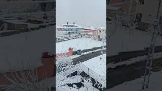 Burası Mersin Findikpinari Yaylası Sarı Olanbenim