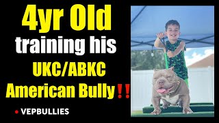 HOW  TO STACK BULLIES? @vepbullies#exotic#magneto #microbullies  #americanbully#4YROLDARMANI