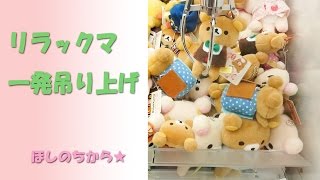トナカイリラックマです。余り物かな・・・　（UFOキャッチャー） 　Rilakkuma