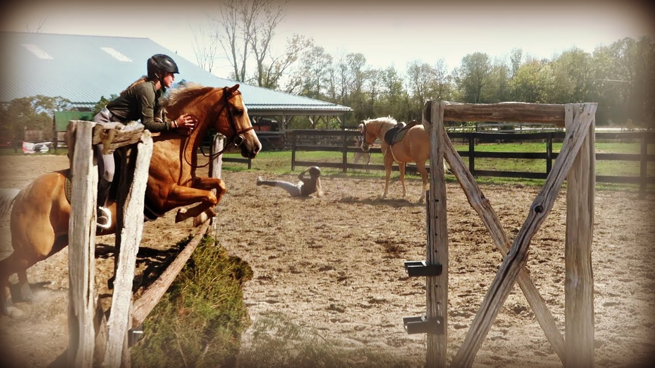 TRAINING MY SISTERS HORSE GONE WRONG! YouTube