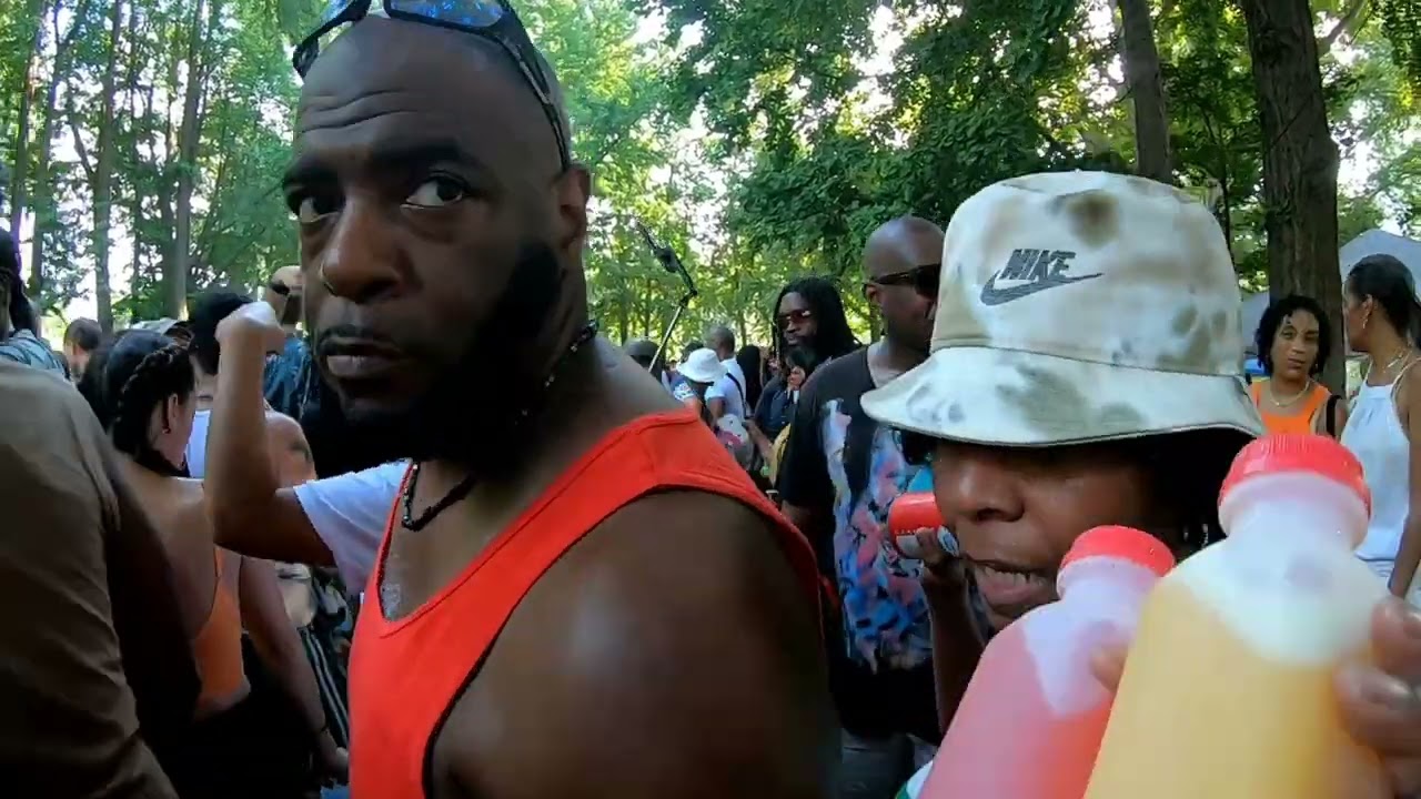 Fort Green Park house music 2024 N Y C