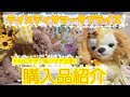 【ディズニー】テイスティサマーサプライズ購入品紹介！【アプリ通販＆スーベニア】