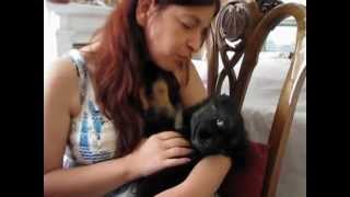KAZSHELTER Rosemarie & Fotini MVI_7626.avi