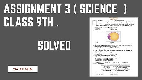 Assignment 3 Science class 9th English medium. Solved MCQ ( CEP Worksheet 3  ).