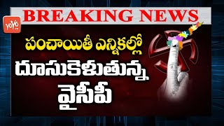 Breaking News: AP Panchayat Election Counting LIVE Updates | Panchayat Election Results LIVE |YOYOTV