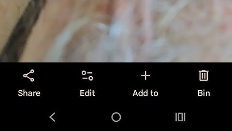 Former and latter aggressive beasts