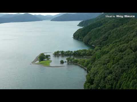 滋賀県長浜市高月町 西野水道 琵琶湖 ドローン 空撮 Drone 4K UHD