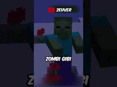 MİNECRAFT'TAKİ SAHTE GÜNEŞ ⛏️💎