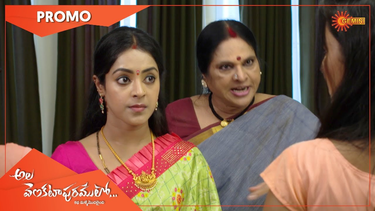 Ala Venkatapuramlo - Promo | 29 Nov 2022 | Telugu Serial | Gemini TV