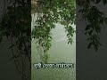 গ্রাম্য পরিবেশ 🌦️#shorts #rain #গ্রাম্য পরিবেশ #nature #khanastation