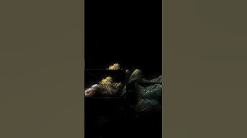 TouchDesigner Point Cloud Audio Visual