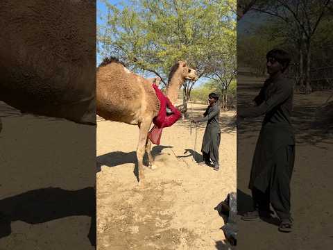 رحلة فقيرة بالماديات غنية بالمعاني غنى الروح حياة بسيطة تأمل