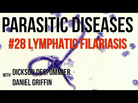 Video: Filariasis: Symptomer Og Behandling