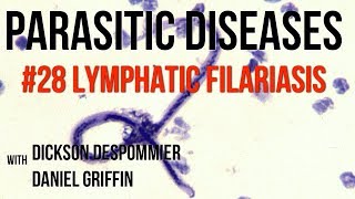 Parasitic Diseases Lectures #28: Lymphatic Filariasis