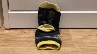The lost sock 2