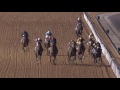 Race 6 - EGA Jebel Ali Trophy