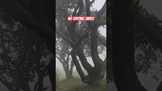 No Editing Video 100% Original