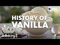 The Surprising Origins of Vanilla | Delishtory