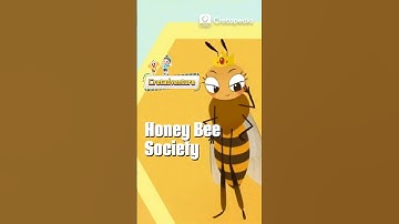 The Society of Honey Bees | Insect