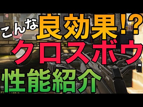 【COD Mobile】こんな効果も⁉︎噂の新武器クロスボウを紹介します‼︎【BR】